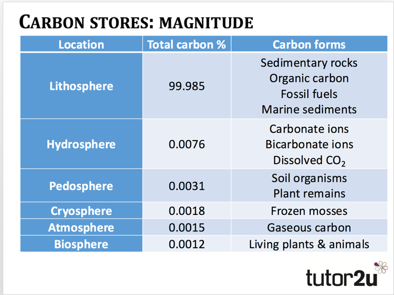 Introduction to Carbon and Carbon Stores Geography tutor2u