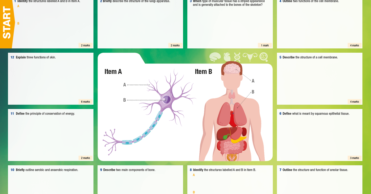 Assessment Mats Health & Social Care tutor2u