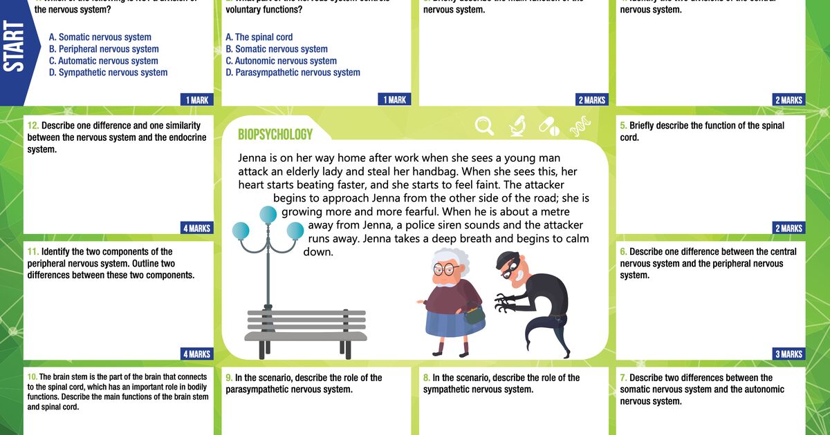 Nervous System AQA A Level Psychology Assessment Mat Psychology